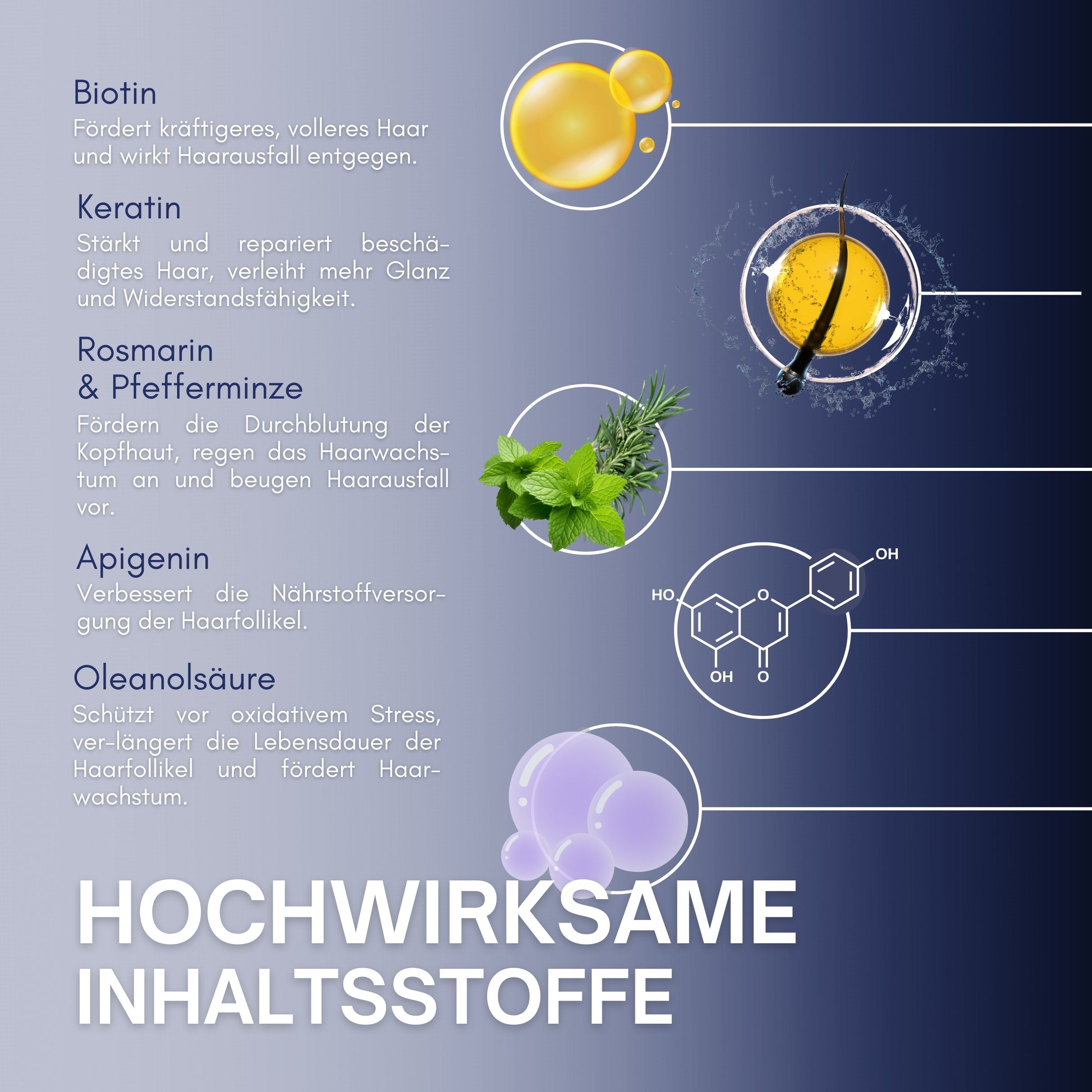 Evocapil Plus Anti-Haarausfall Shampoo 1 Stück