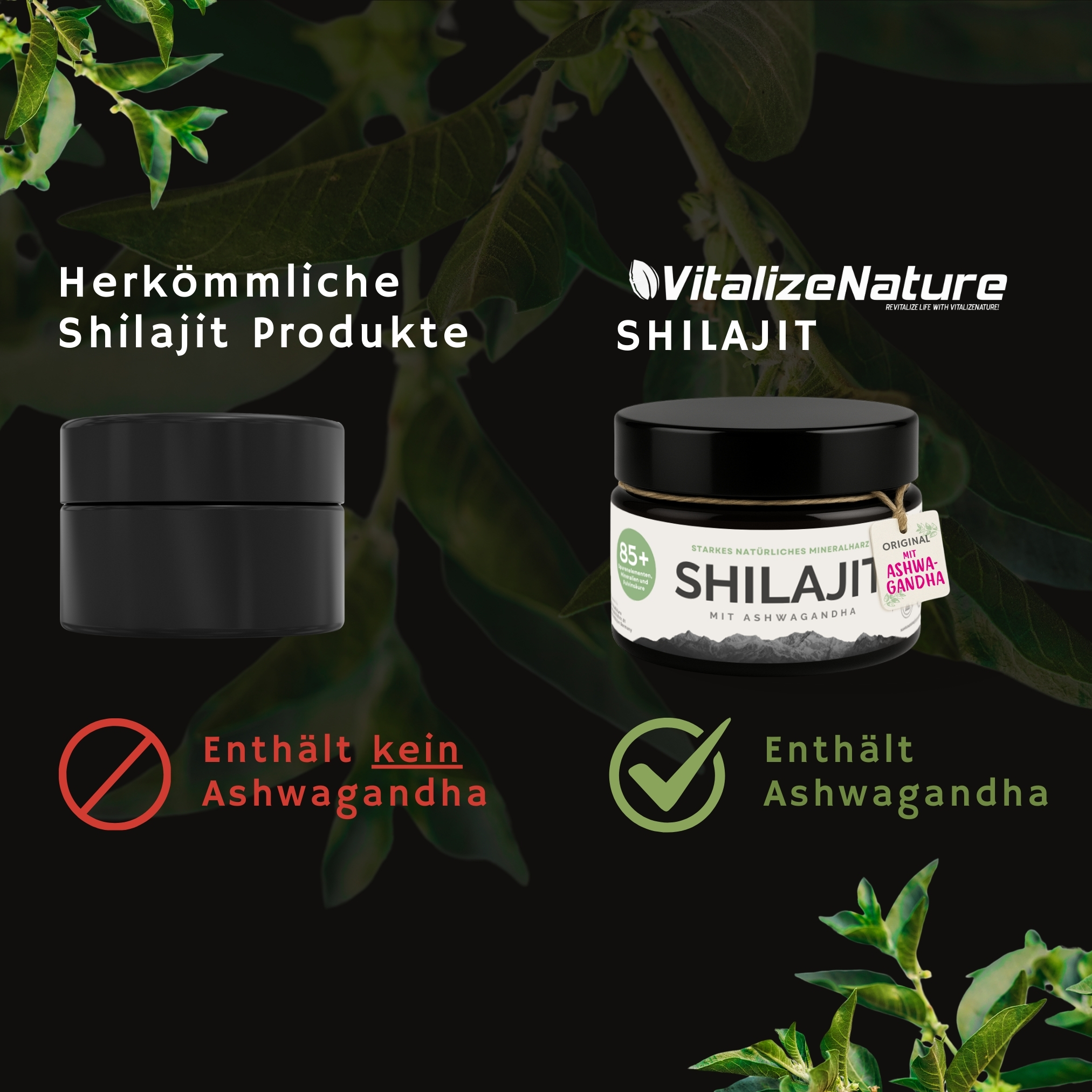 VitalizeNature Shilajit 3x30g – Original Himalaya Harz + Ashwagandha